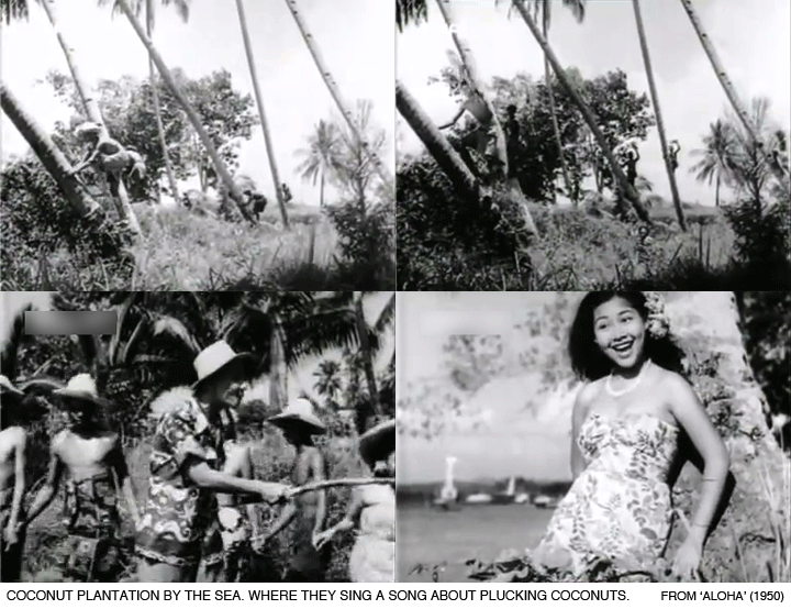 _02-Aloha-Plucking-Coconuts