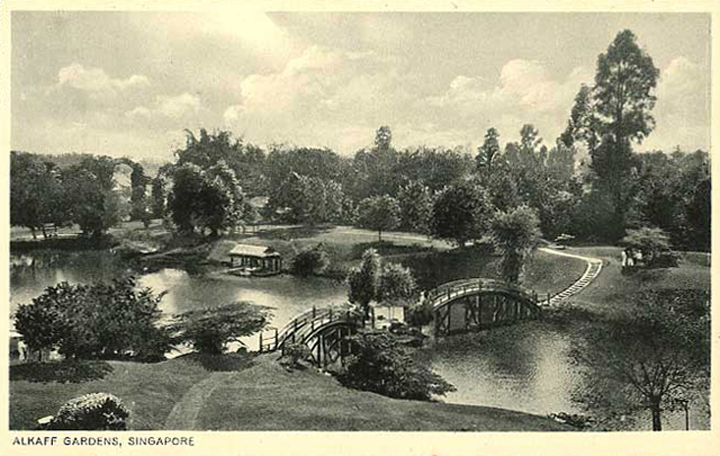 _07A-Alkaff-Gardens-postcard