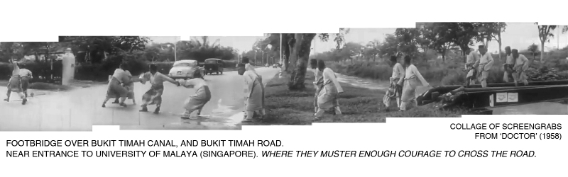 _05-Doctor-Bukit-Timah-Canal